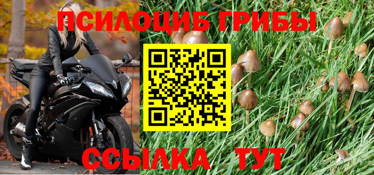 Благодарный  Галлюциногенные грибы MAGIC MUSHROOMS  Вход с VPN 