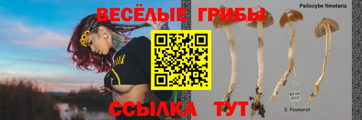 Галлюциногенные грибы мухоморы Благодарный